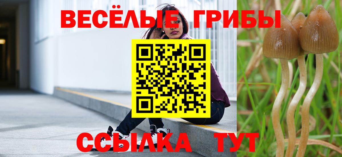 Галлюциногенные грибы мухоморы  Вход с VPN  Урай  Галлюциногенные грибы Magic Shrooms 