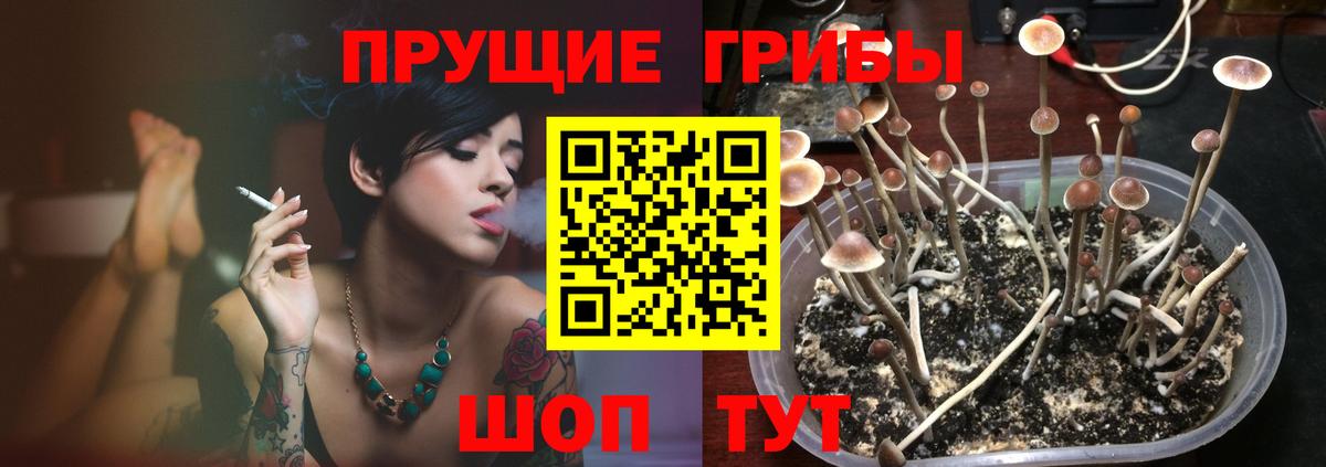 Псилоцибиновые грибы Magic Shrooms Урай